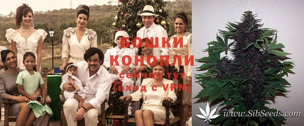 spice Новозыбков