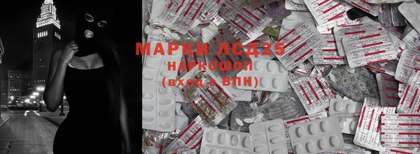 spice Новозыбков