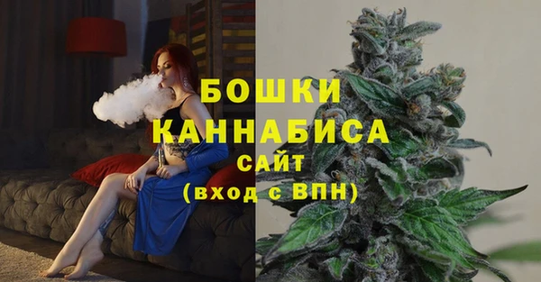 ALPHA PVP Нягань