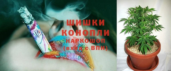 стафф Новокубанск